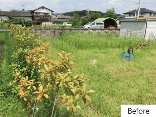 庭改修前